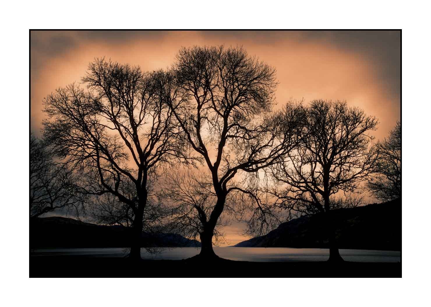 lumieres-et-couleurs/046-les-mysteres-du-loch-ness/fr/05-paysage-loch-ness-en-ecosse-1583-32C