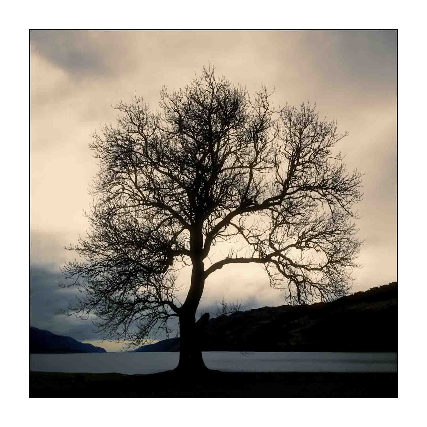lumieres-et-couleurs/046-les-mysteres-du-loch-ness/fr/08-paysage-loch-ness-en-ecosse-1586-11C