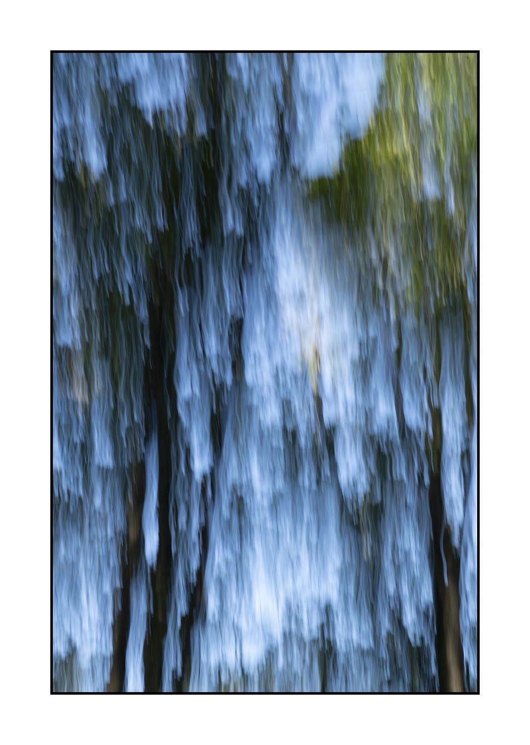 lumieres-et-couleurs/049-les-pleurs-des-arbres/en/01-the-tears-of-the-trees-1646-32C