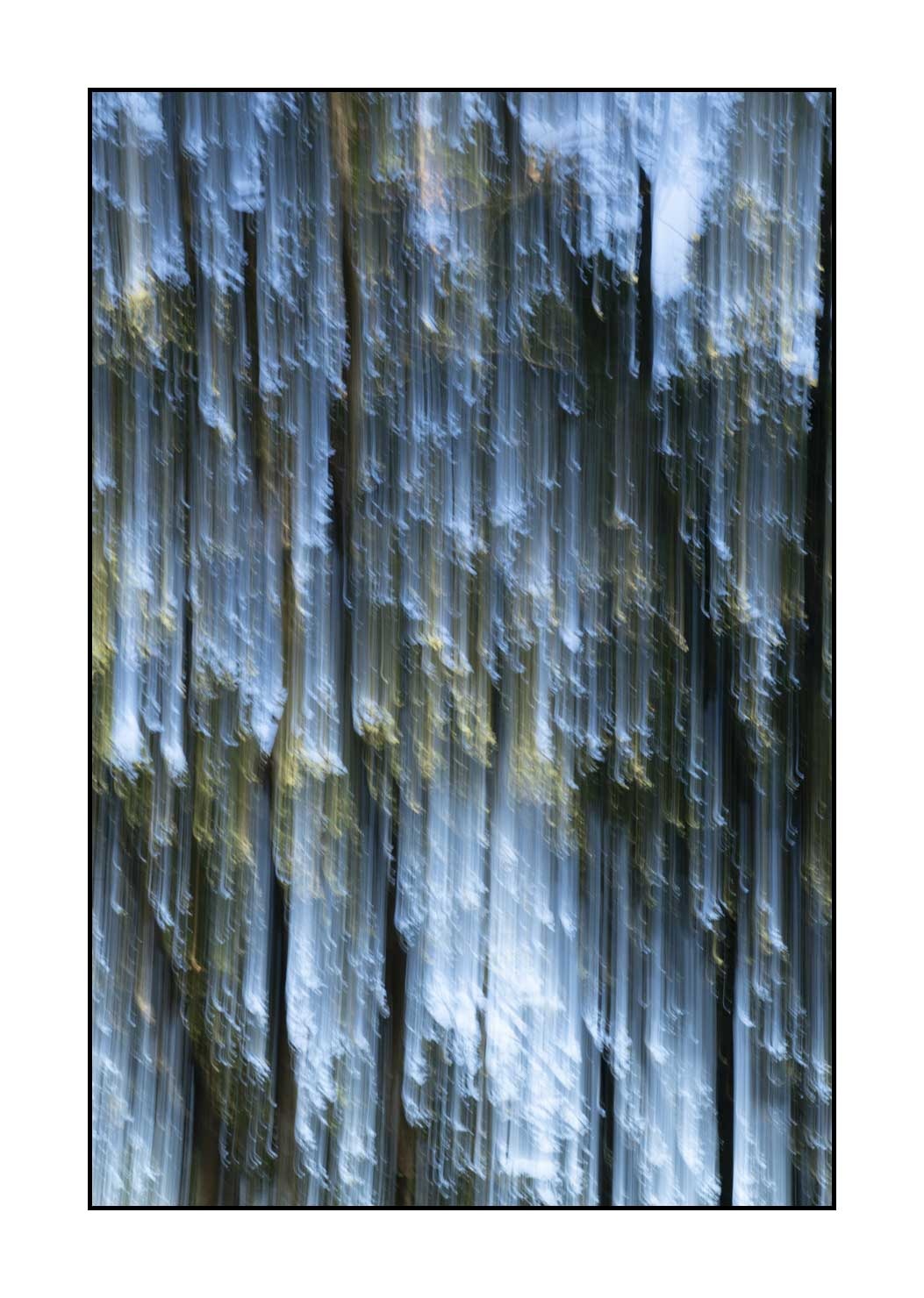 lumieres-et-couleurs/049-les-pleurs-des-arbres/en/02-the-tears-of-the-trees-1647-32C