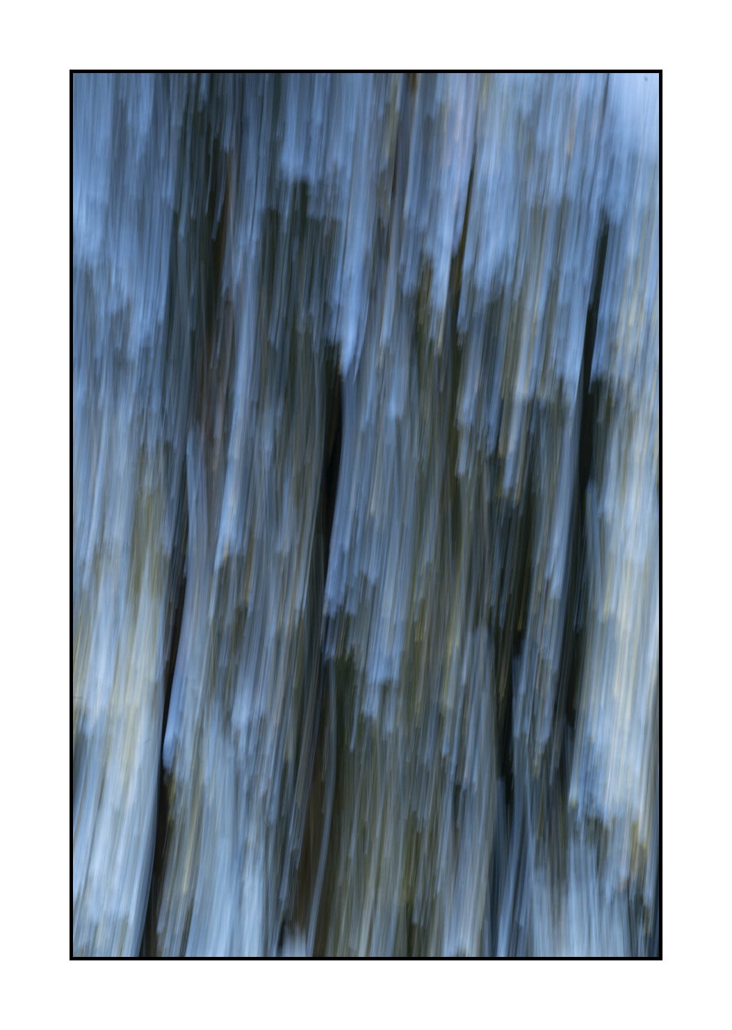 lumieres-et-couleurs/049-les-pleurs-des-arbres/en/03-the-tears-of-the-trees-1648-32C