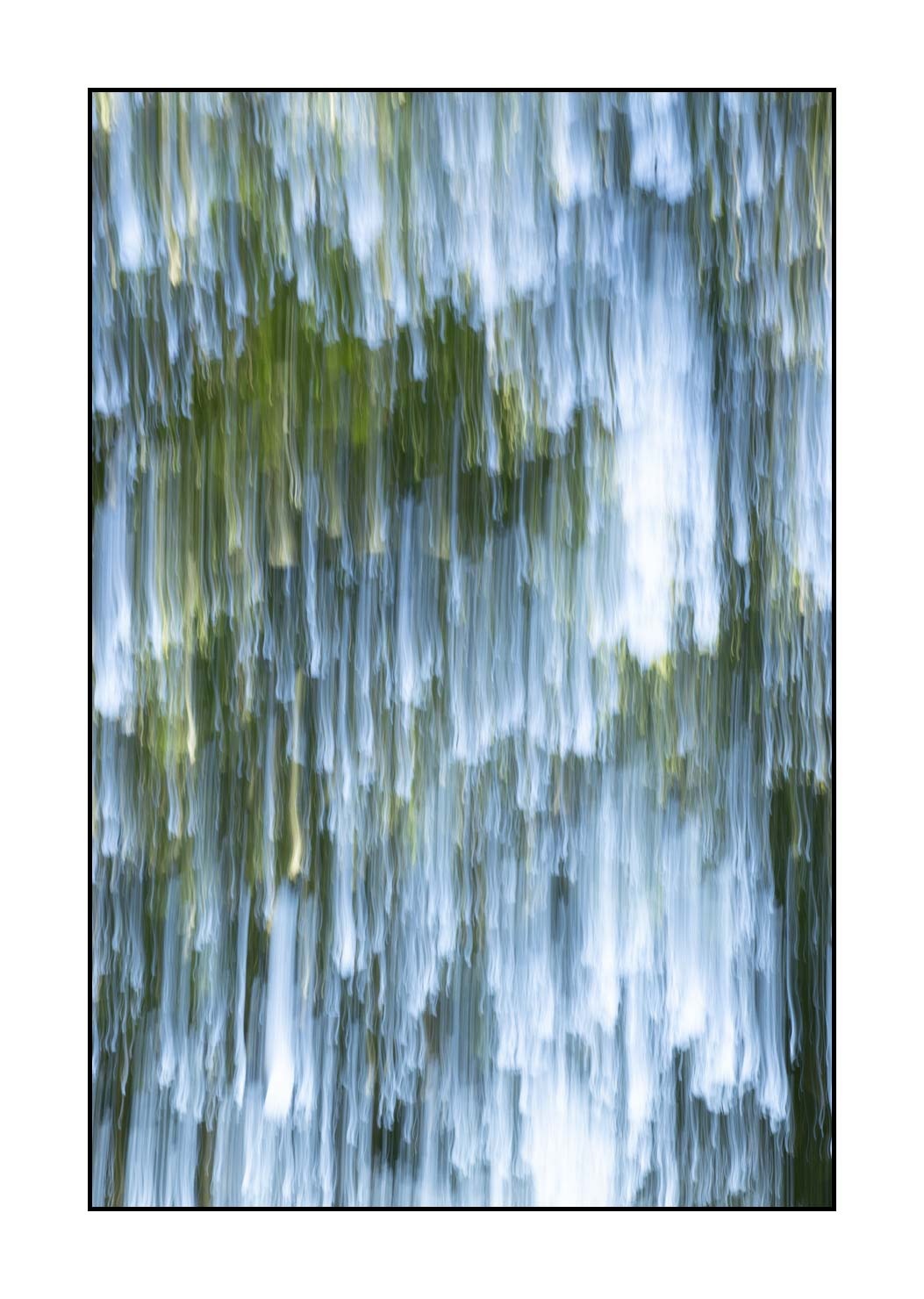lumieres-et-couleurs/049-les-pleurs-des-arbres/en/04-the-tears-of-the-trees-1649-32C