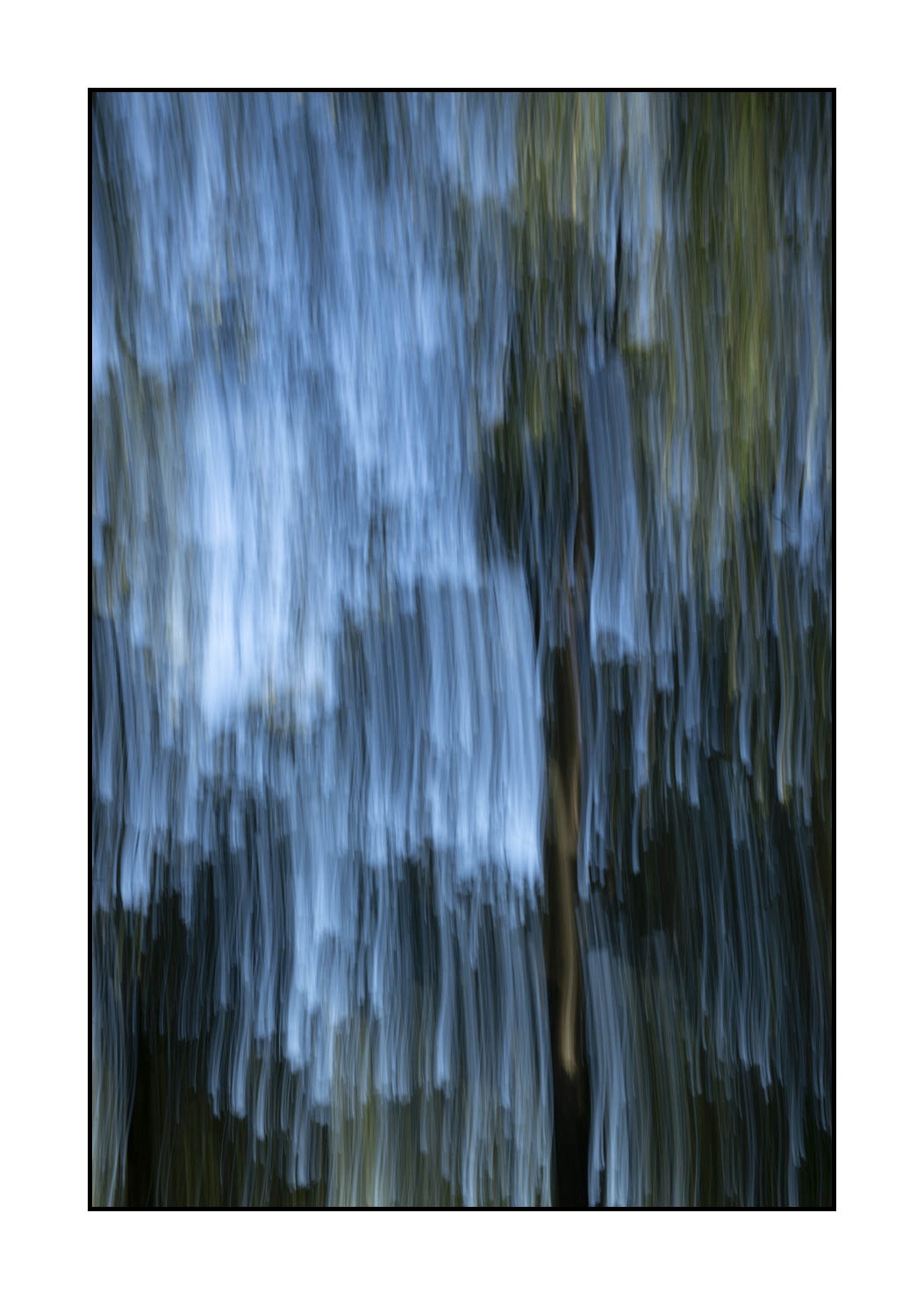 lumieres-et-couleurs/049-les-pleurs-des-arbres/en/05-the-tears-of-the-trees-1650-32C