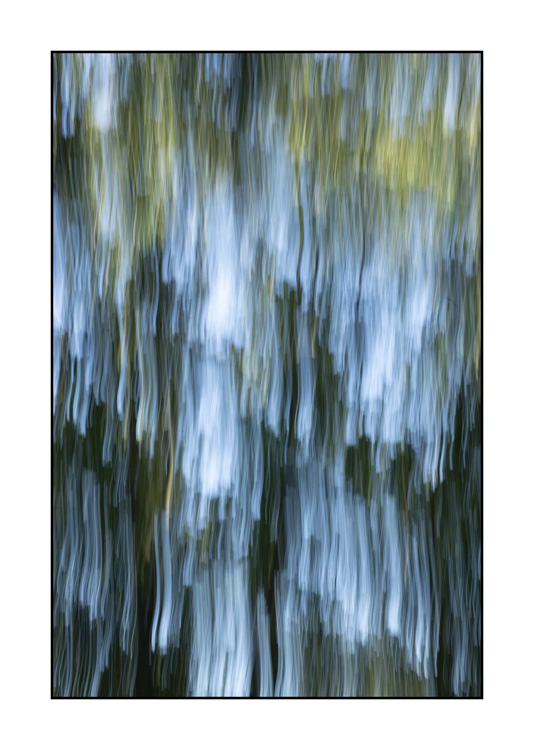 lumieres-et-couleurs/049-les-pleurs-des-arbres/en/06-the-tears-of-the-trees-1651-32C