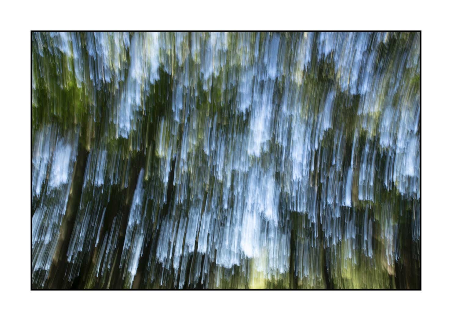 lumieres-et-couleurs/049-les-pleurs-des-arbres/en/09-the-tears-of-the-trees-1654-32C