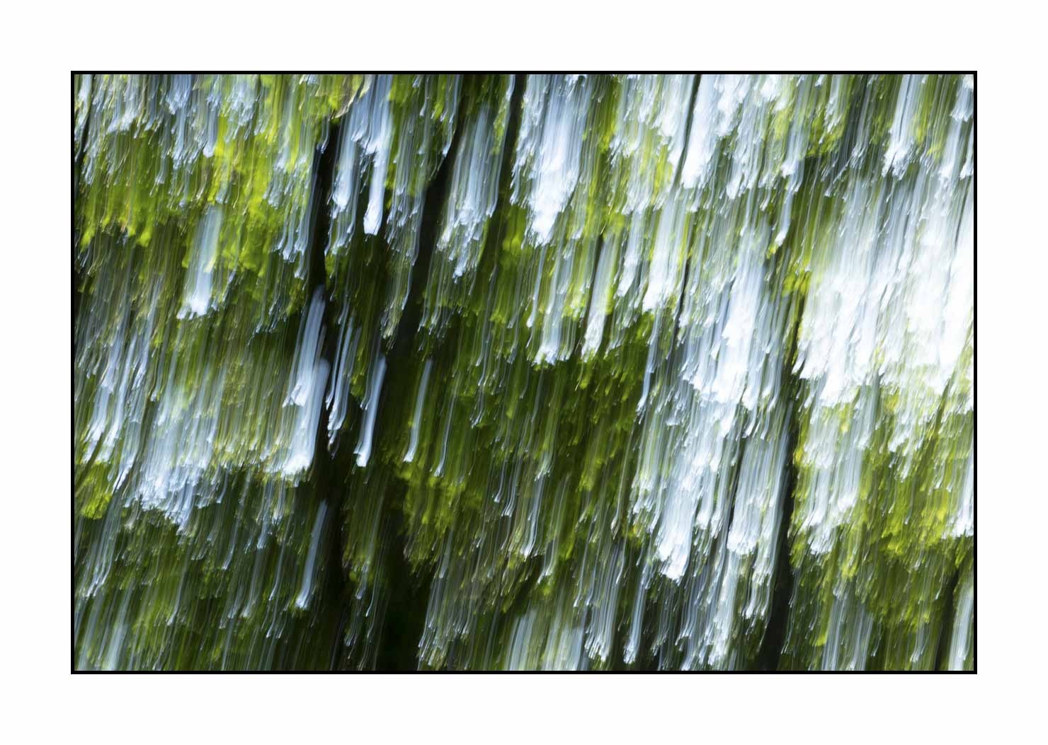lumieres-et-couleurs/049-les-pleurs-des-arbres/en/10-the-tears-of-the-trees-1655-32C