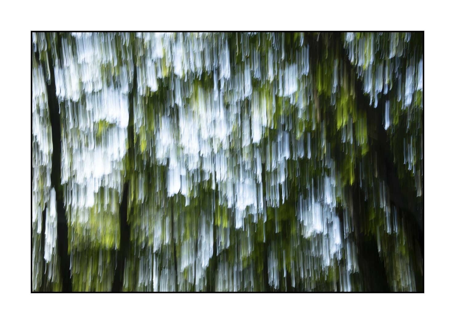 lumieres-et-couleurs/049-les-pleurs-des-arbres/en/11-the-tears-of-the-trees-1656-32C