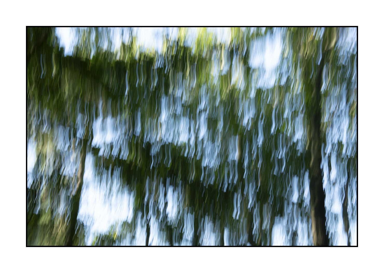 lumieres-et-couleurs/049-les-pleurs-des-arbres/en/12-the-tears-of-the-trees-1657-32C
