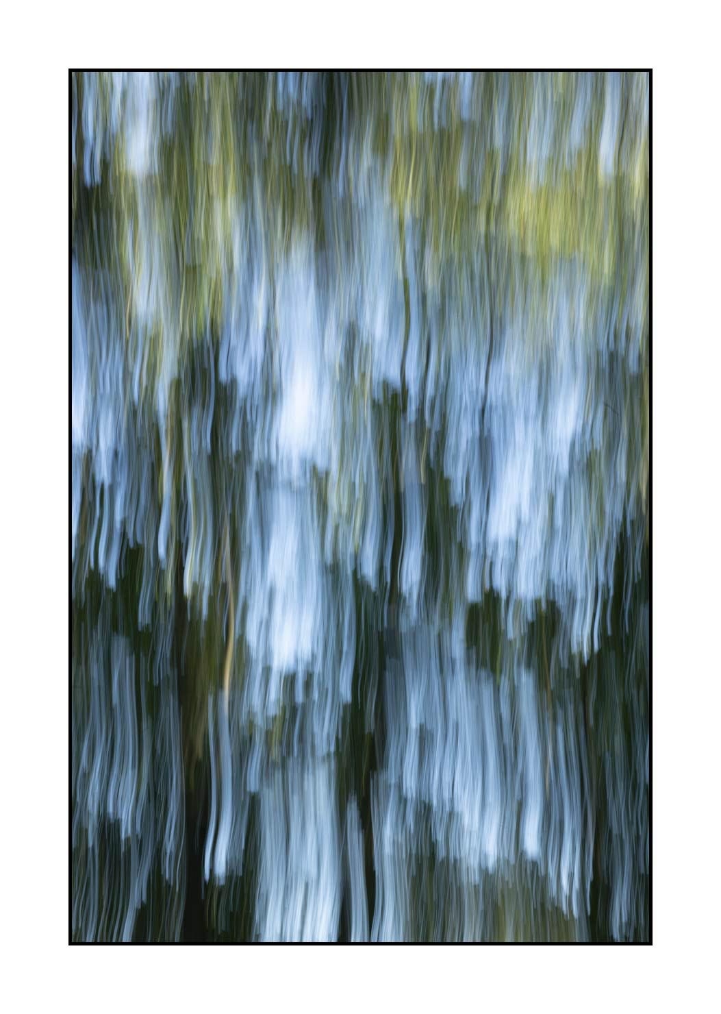 lumieres-et-couleurs/049-les-pleurs-des-arbres/fr/06-les-pleurs-des-arbres-1651-32C