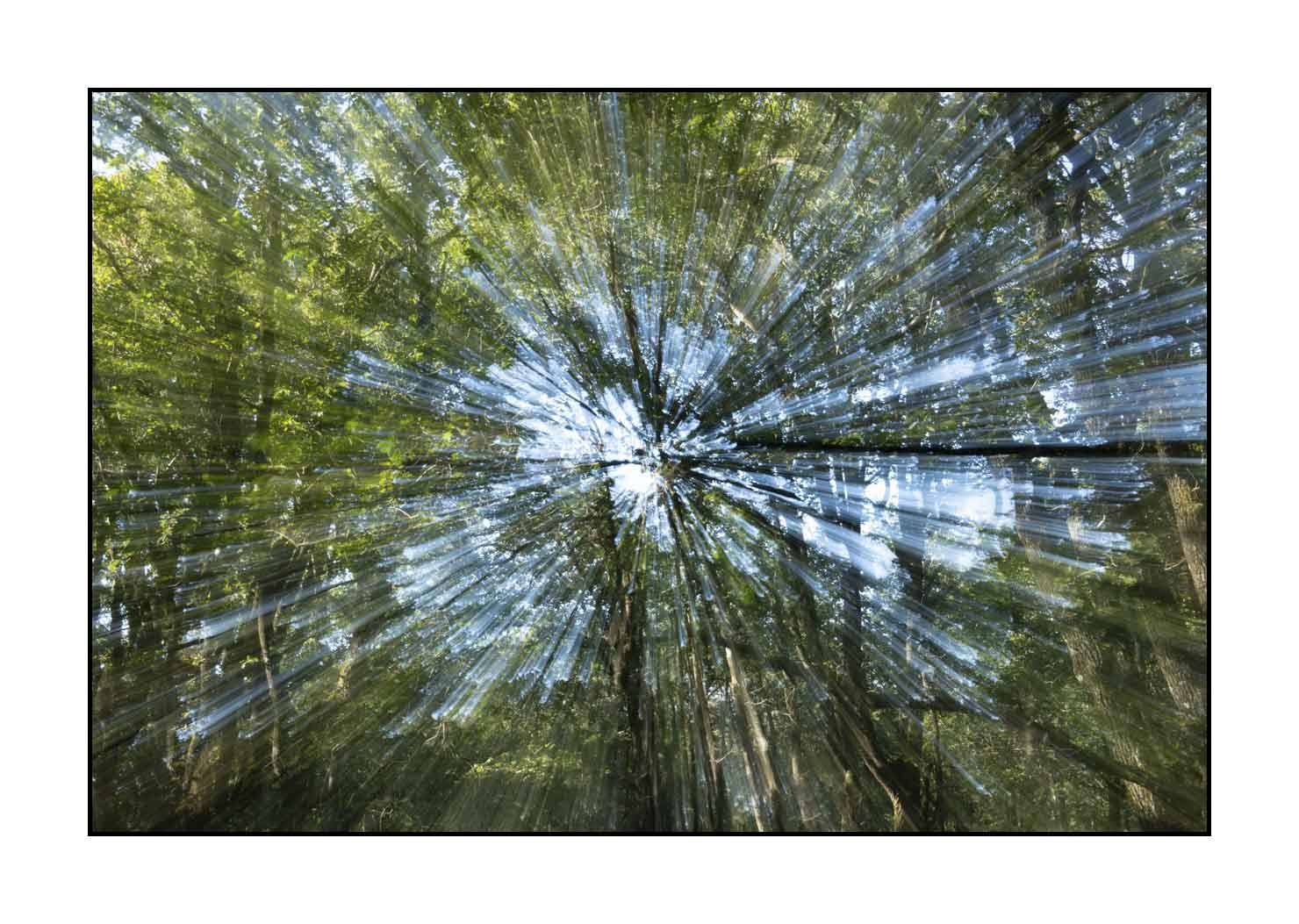 lumieres-et-couleurs/050-retour-vers-le-futur/fr/06-retour-vers-le-futur-1669-32C
