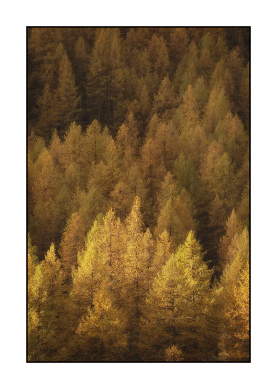 lumieres-et-couleurs/054-paysages-vallee-de-la-claree/en/07-landscape-valley-la-claree-alps-2023-32C