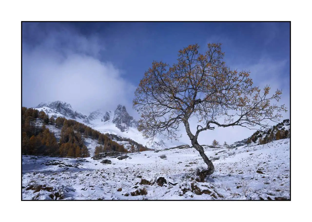 lumieres-et-couleurs/054-paysages-vallee-de-la-claree/en/12-landscape-valley-la-claree-alps-2277-32C