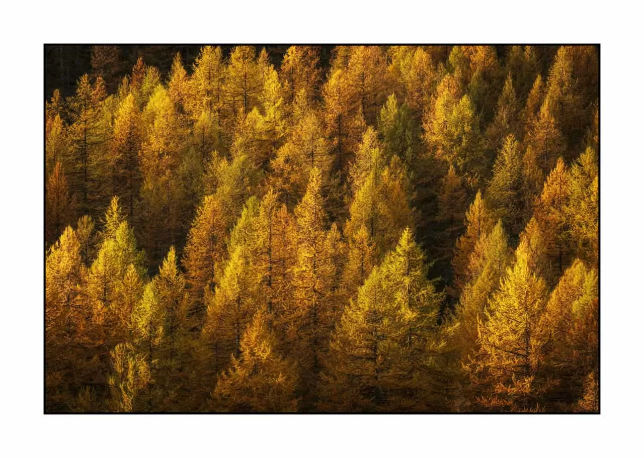 lumieres-et-couleurs/054-paysages-vallee-de-la-claree/fr/06-paysage-vallee-de-la-claree-alpes-2022-32C