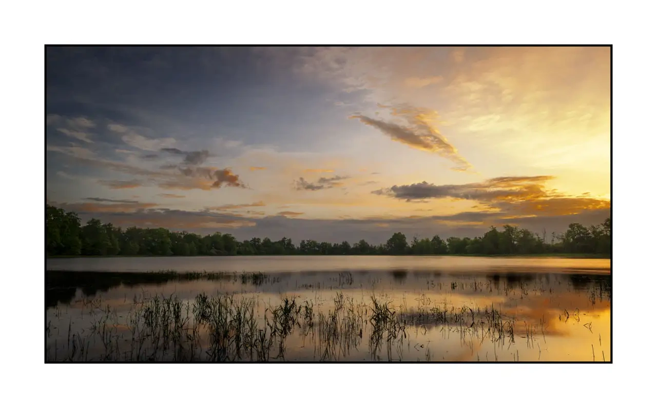 lumieres-et-couleurs/062-dans-l-intimite-de-la-dombes/en/08-landscape-pond-dombes-2179-169C