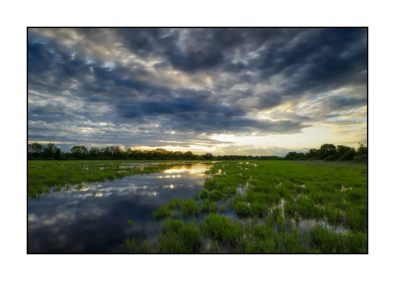 lumieres-et-couleurs/062-dans-l-intimite-de-la-dombes/en/10-landscape-pond-dombes-2181-32C
