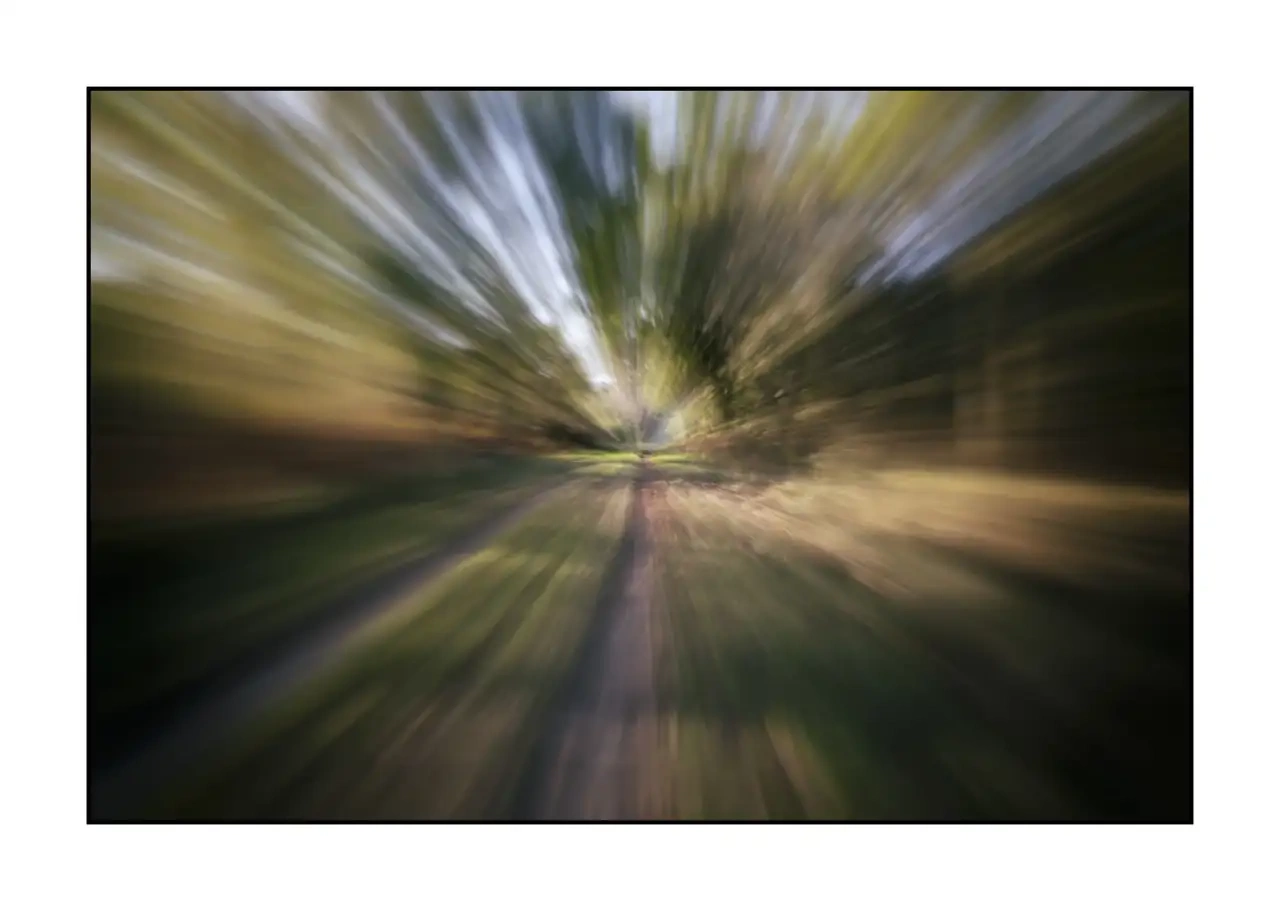 lumieres-et-couleurs/066-fuite-vers-l-invisible/edition-limitee/fr/02-photo-abstraite-sous-bois-zooming-2342-32I