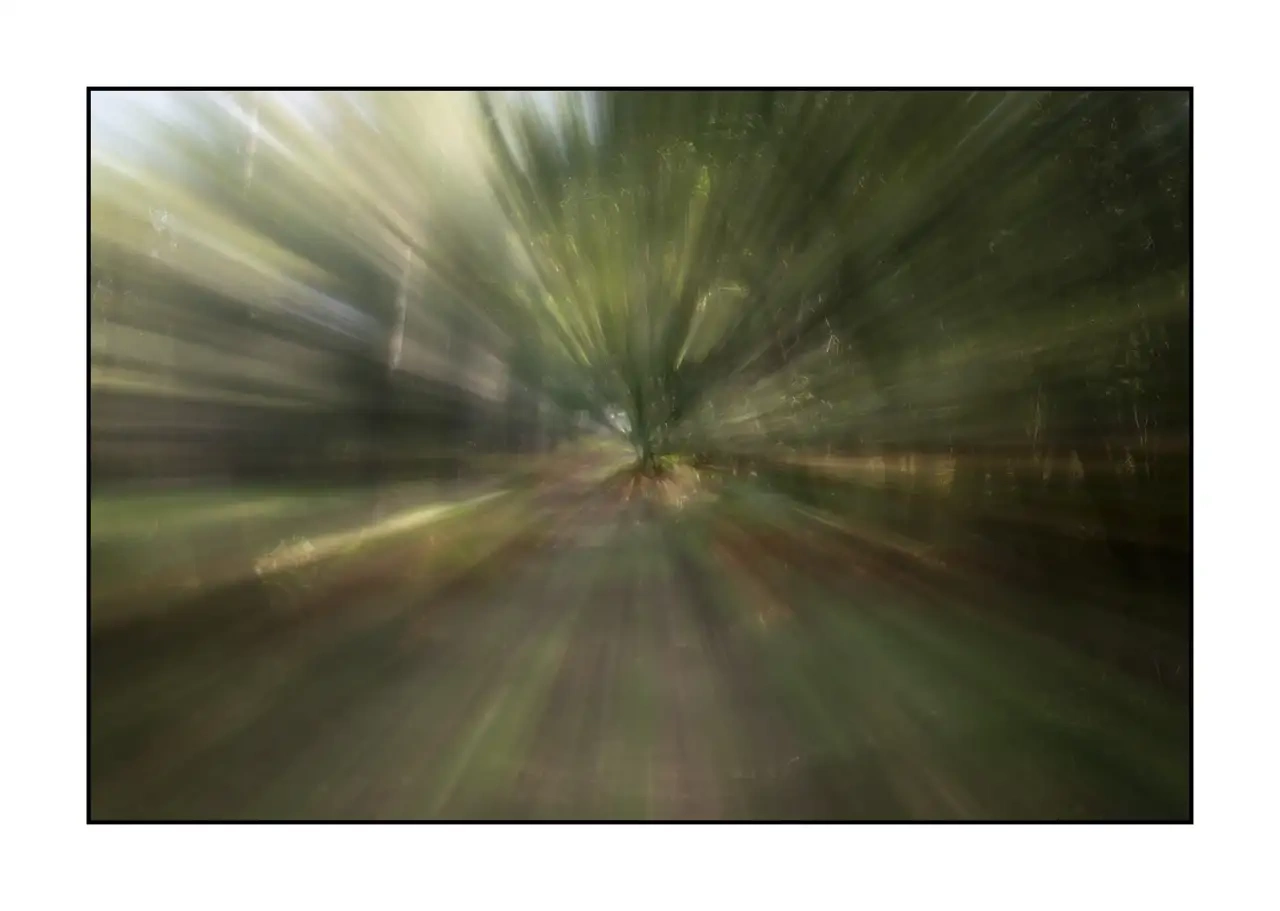 lumieres-et-couleurs/066-fuite-vers-l-invisible/edition-limitee/fr/03-photo-abstraite-sous-bois-zooming-2343-32I