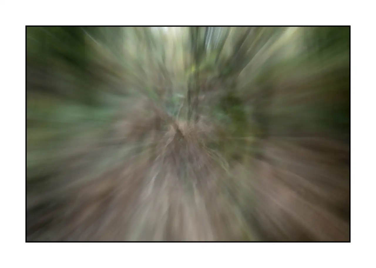 lumieres-et-couleurs/066-fuite-vers-l-invisible/edition-limitee/fr/04-photo-abstraite-sous-bois-zooming-2344-32I