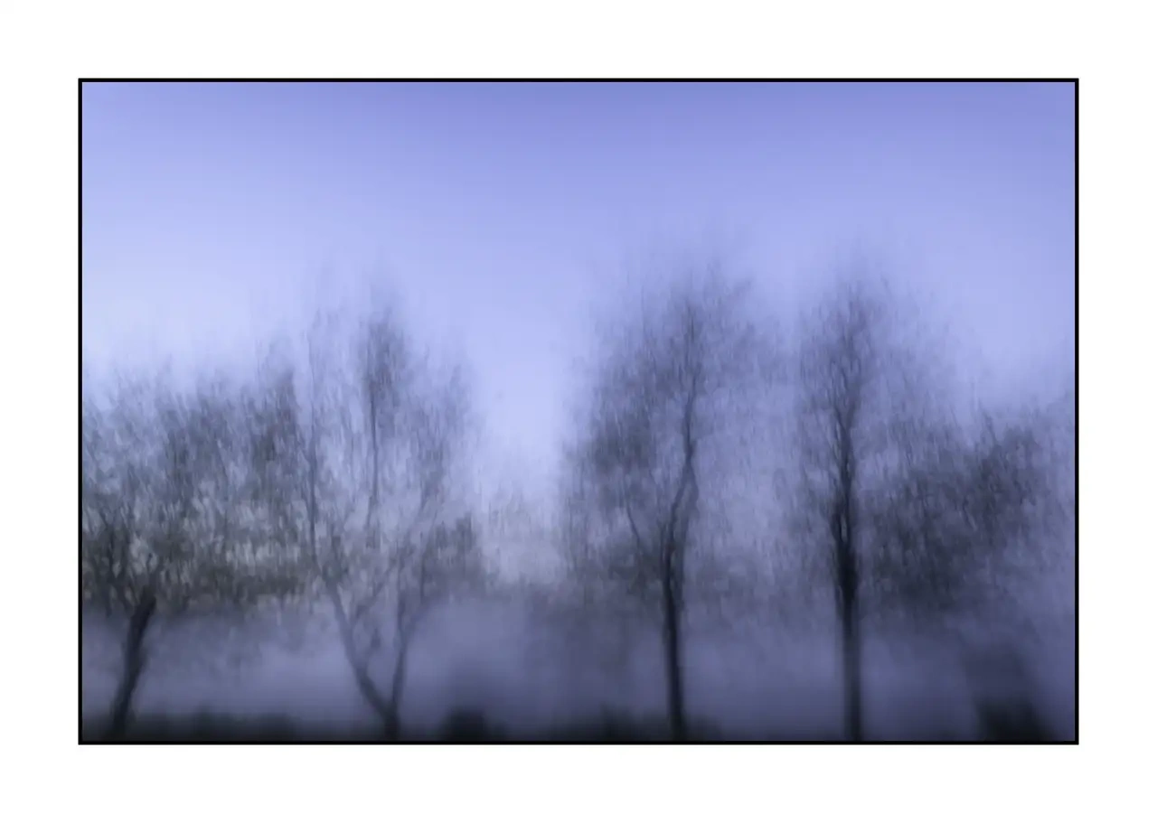 lumieres-et-couleurs/066-les-abres-deviennent-murmures/en/01-tree-color-blurry-2325-32I