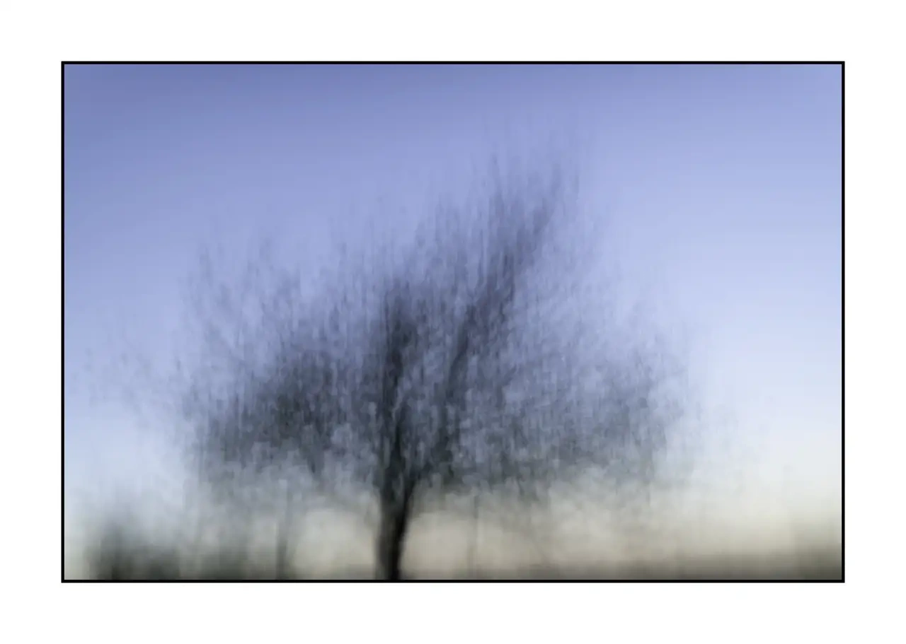 lumieres-et-couleurs/066-les-abres-deviennent-murmures/en/02-tree-color-blurry-2326-32I