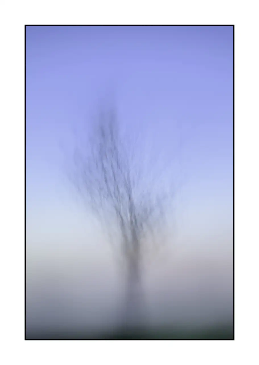 lumieres-et-couleurs/066-les-abres-deviennent-murmures/en/04-tree-color-blurry-2328-32I