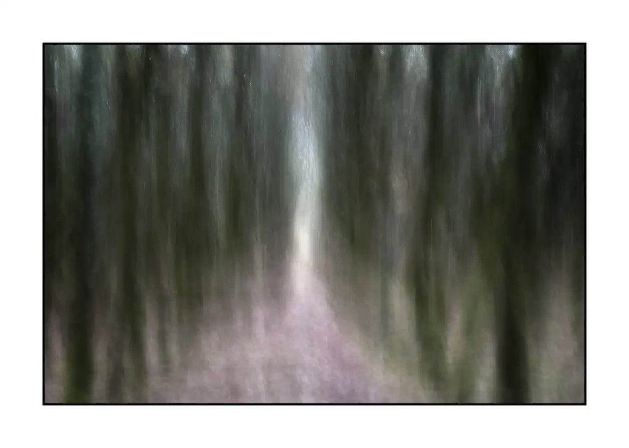 lumieres-et-couleurs/067-les-ames-des-sous-bois/fr/01-arbre-en-couleur-flou-style-impression-2329-32I