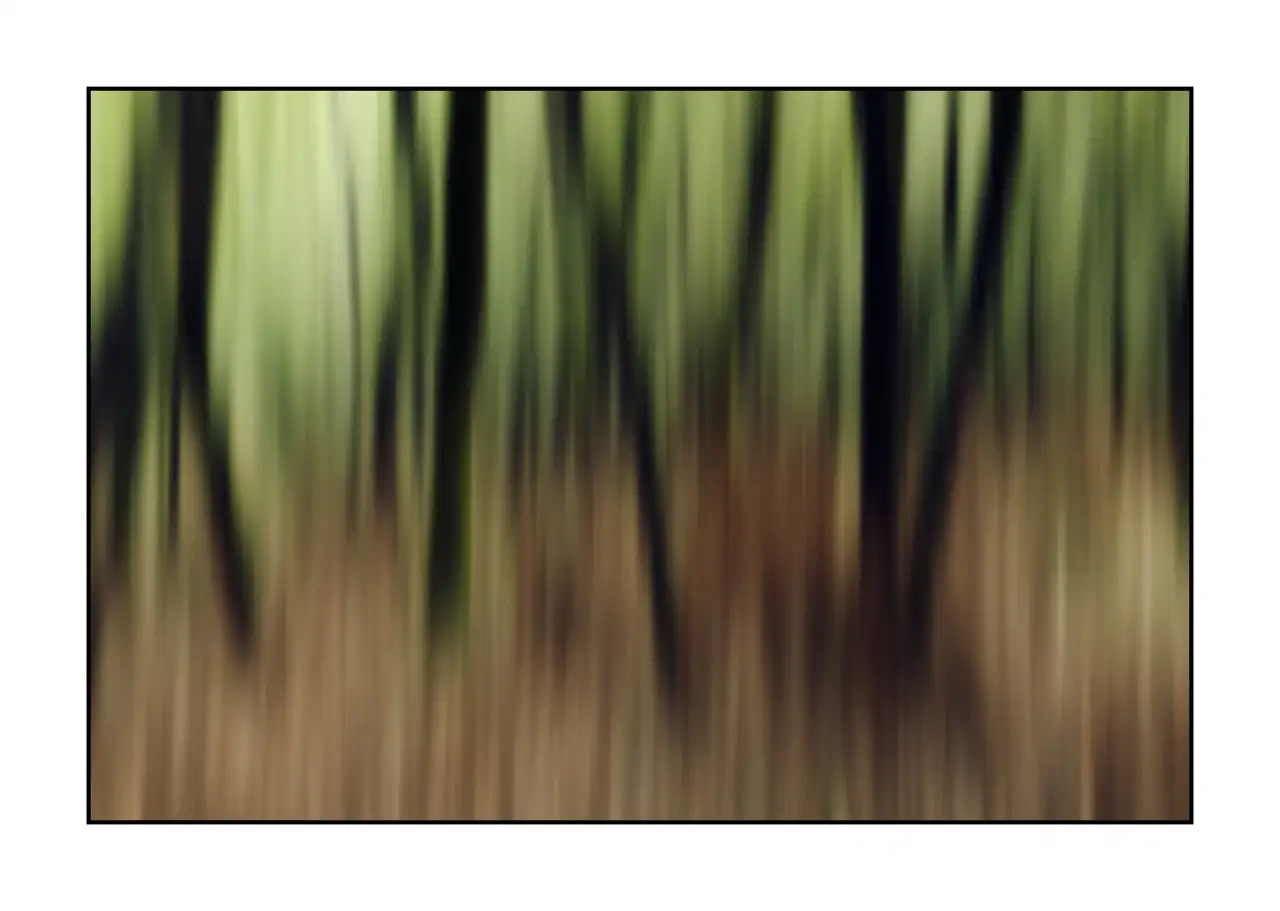 lumieres-et-couleurs/067-les-ames-des-sous-bois/fr/05-arbre-en-couleur-flou-style-impression-2333-32I