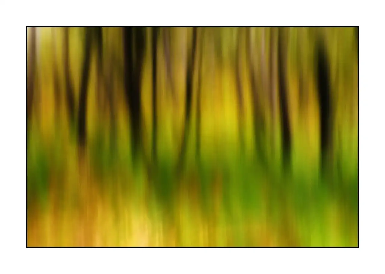 lumieres-et-couleurs/067-les-ames-des-sous-bois/fr/11-arbre-en-couleur-flou-style-impression-2339-32I