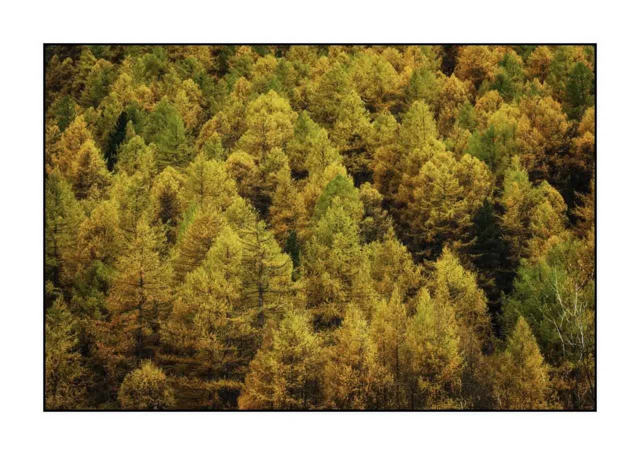 lumieres-et-couleurs/068-queyras-en-couleur/en/10-landscape-in-color-queyras-france-2415-32C