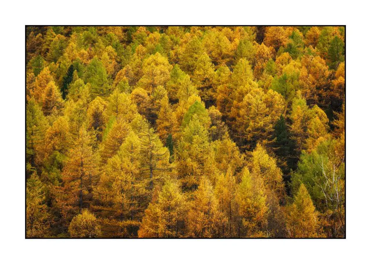 lumieres-et-couleurs/068-queyras-en-couleur/fr/10-paysage-en-couleur-du-queyras-hautes-alpes-2415-32C