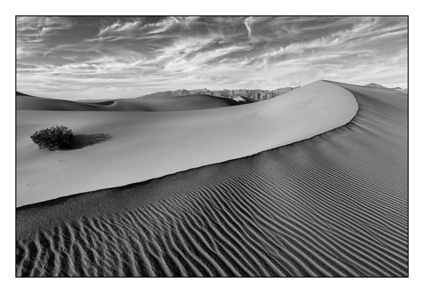Death Valley XVI tontarelli-opbergbak-action-nl