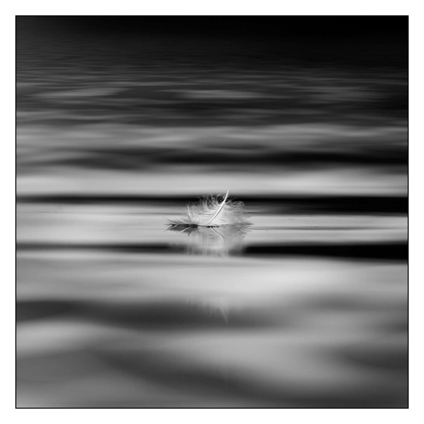 nuances-de-noirs-et-de-blancs/006-douceur/fr/08-170604DOMWLD2563B