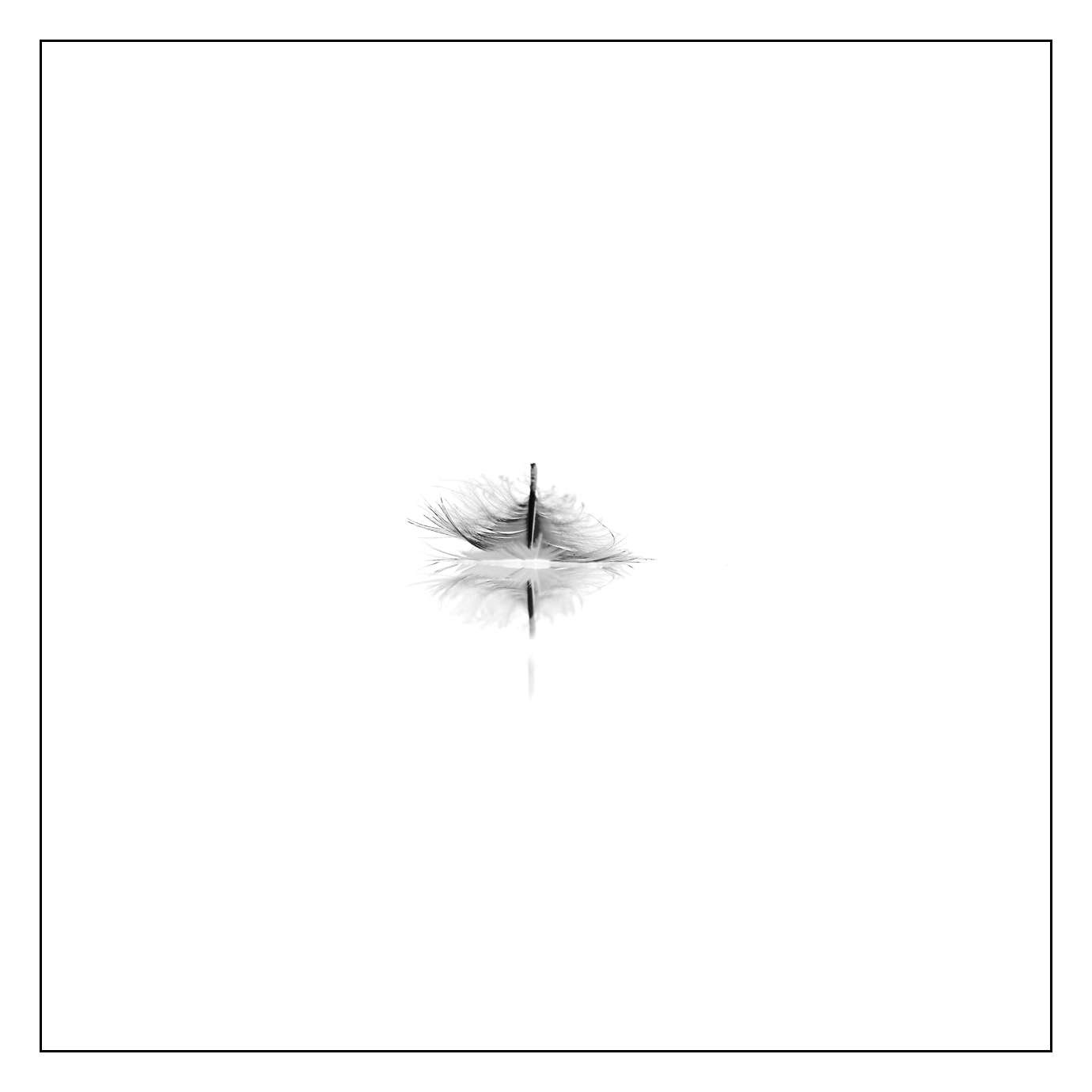 nuances-de-noirs-et-de-blancs/006-douceur/fr/09-170604DOMWLD2557B