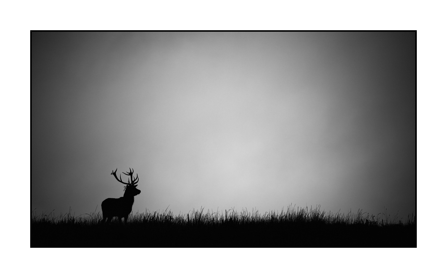 nuances-de-noirs-et-de-blancs/010-silhouettes-de-cerfs/fr/17-silhouettes-de-cerfs-en-noir-et-blanc-200928CHABRA0555B