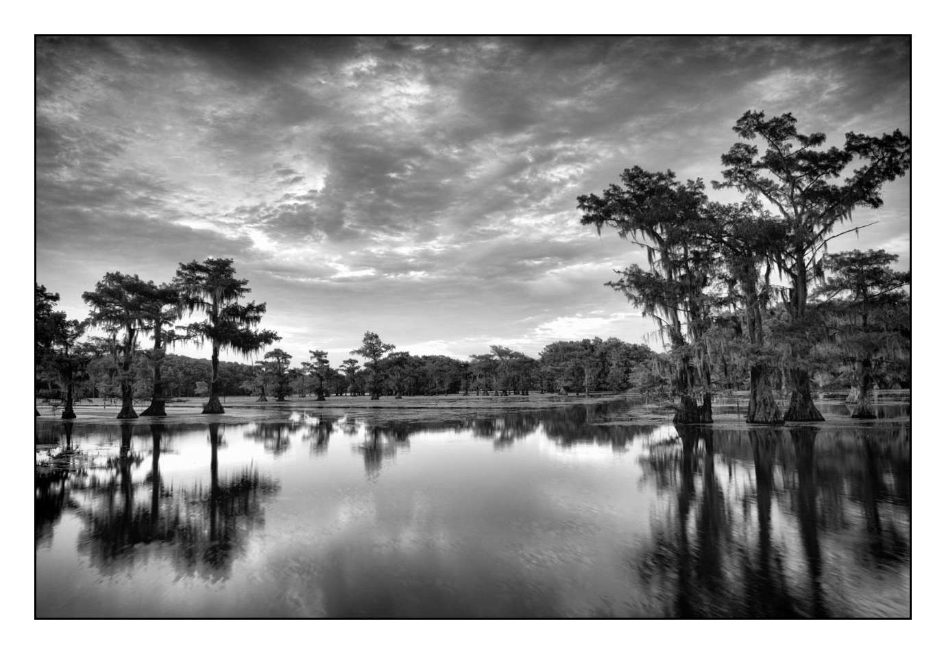nuances-de-noirs-et-de-blancs/012-les-mysteres-de-caddo-lake-texas/fr/01-170827CADLAK0152B