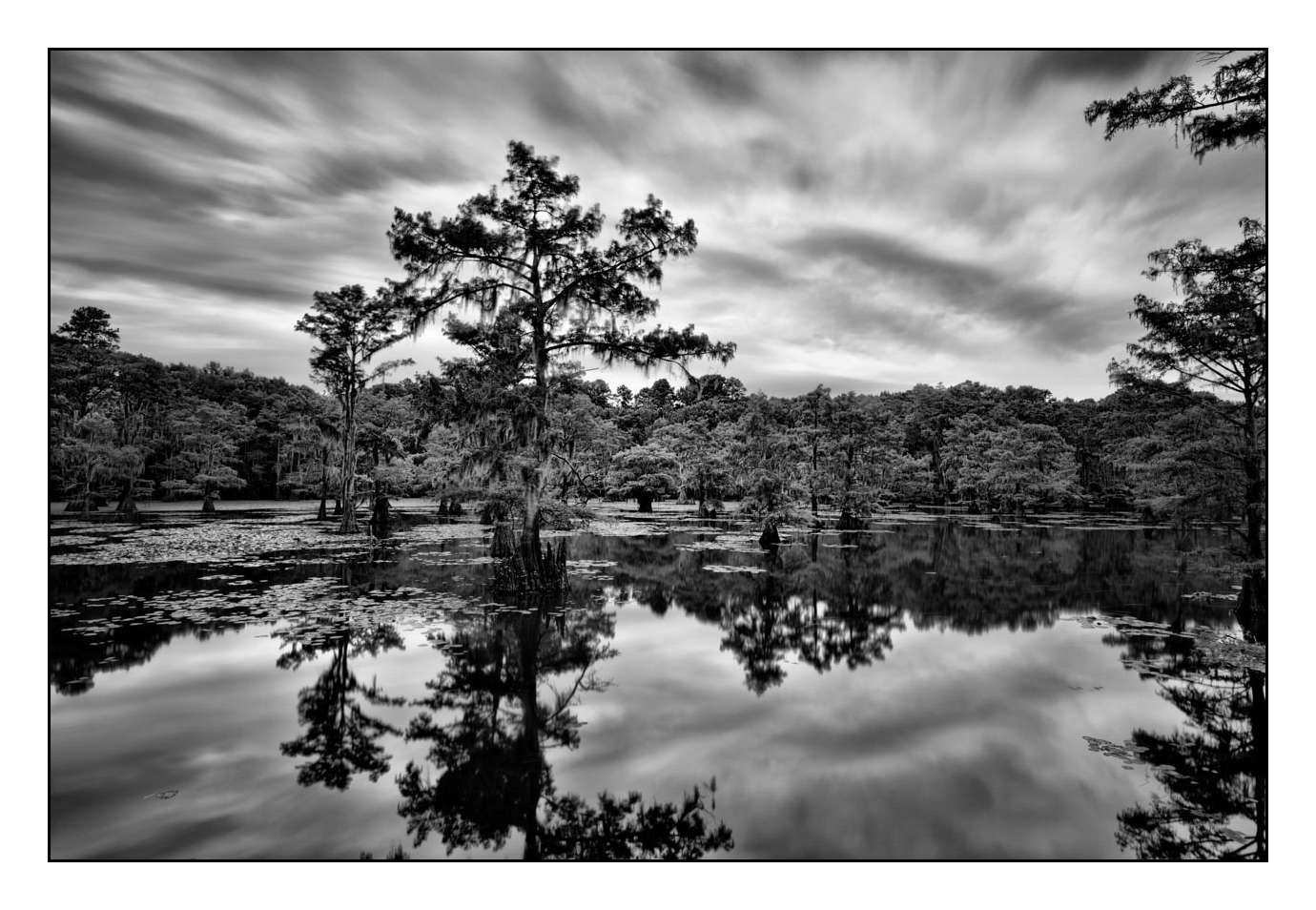 nuances-de-noirs-et-de-blancs/012-les-mysteres-de-caddo-lake-texas/fr/02-170827CADLAK0057B