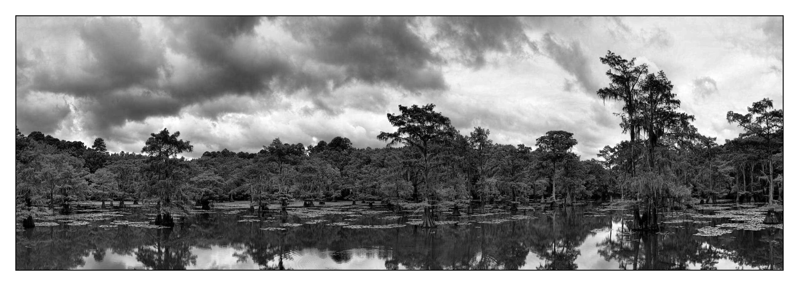 nuances-de-noirs-et-de-blancs/012-les-mysteres-de-caddo-lake-texas/fr/03-170827CADLAK9001PB