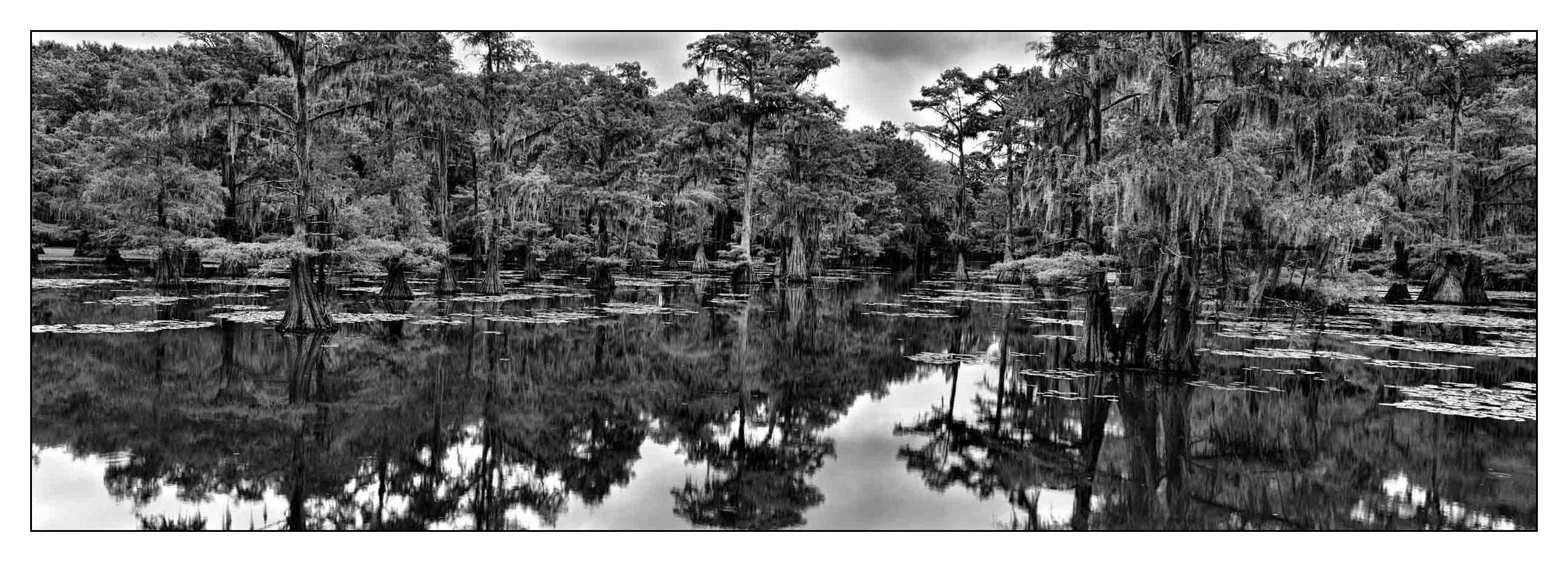 nuances-de-noirs-et-de-blancs/012-les-mysteres-de-caddo-lake-texas/fr/04-170827CADLAK9002PB