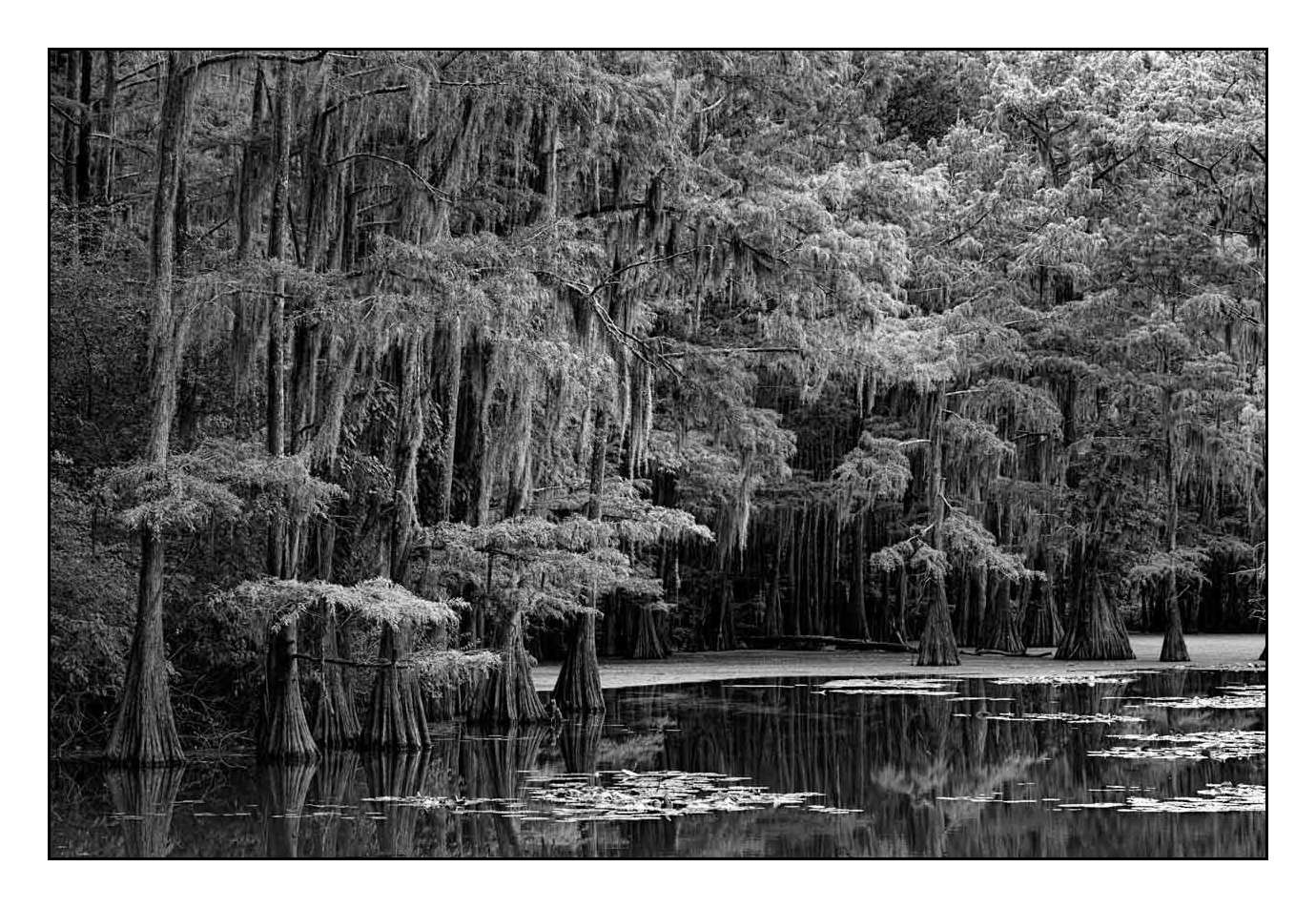 nuances-de-noirs-et-de-blancs/012-les-mysteres-de-caddo-lake-texas/fr/05-170827CADLAK0010B