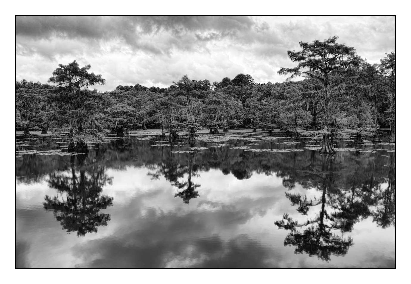 nuances-de-noirs-et-de-blancs/012-les-mysteres-de-caddo-lake-texas/fr/06-170827CADLAK0036B
