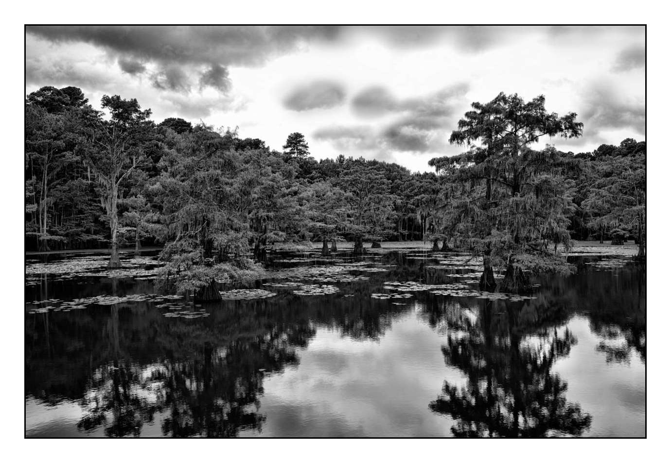 nuances-de-noirs-et-de-blancs/012-les-mysteres-de-caddo-lake-texas/fr/07-170827CADLAK0042B