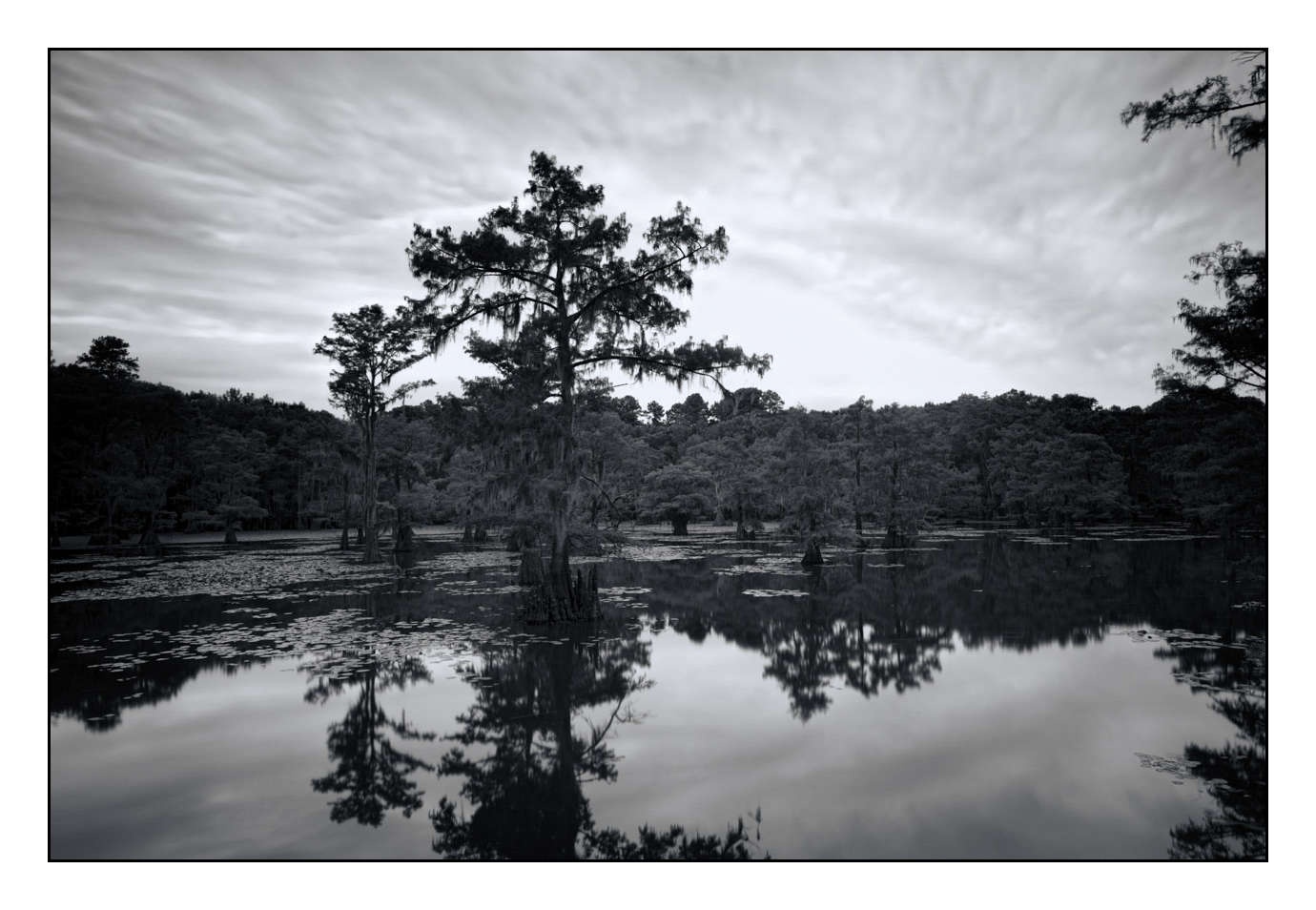 nuances-de-noirs-et-de-blancs/012-les-mysteres-de-caddo-lake-texas/fr/08-170827CADLAK0056B