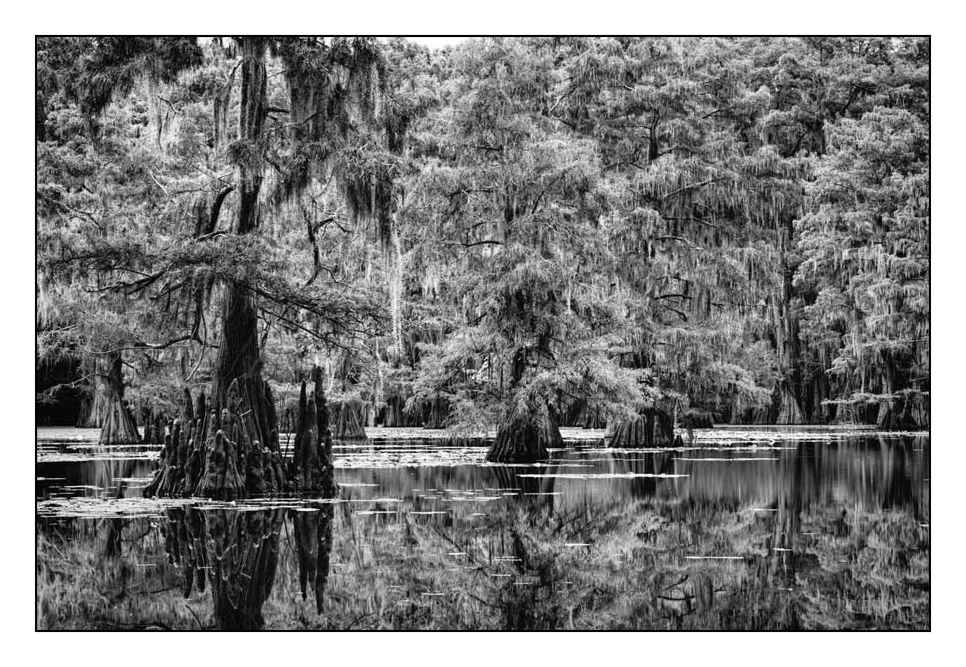 nuances-de-noirs-et-de-blancs/012-les-mysteres-de-caddo-lake-texas/fr/12-170827CADLAK0097B