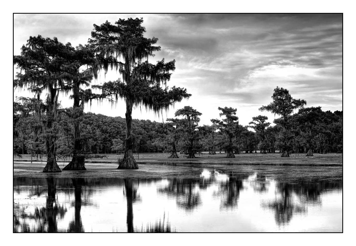 nuances-de-noirs-et-de-blancs/012-les-mysteres-de-caddo-lake-texas/fr/13-170827CADLAK0104B