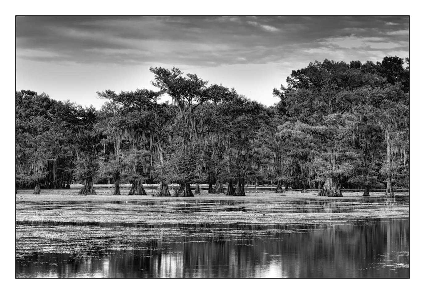 nuances-de-noirs-et-de-blancs/012-les-mysteres-de-caddo-lake-texas/fr/14-170827CADLAK0105B