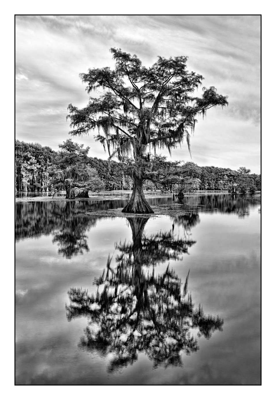 nuances-de-noirs-et-de-blancs/012-les-mysteres-de-caddo-lake-texas/fr/18-170827CADLAK0136B