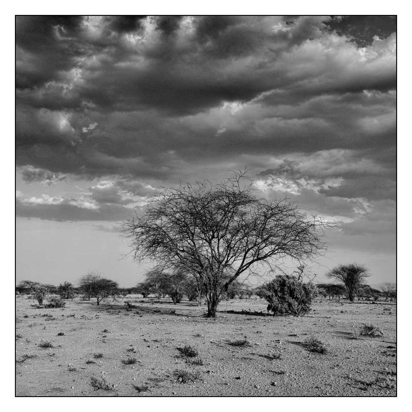 nuances-de-noirs-et-de-blancs/013-les-temoins-du-temps-qui-passe/en/12-170910SHOPAY0058B