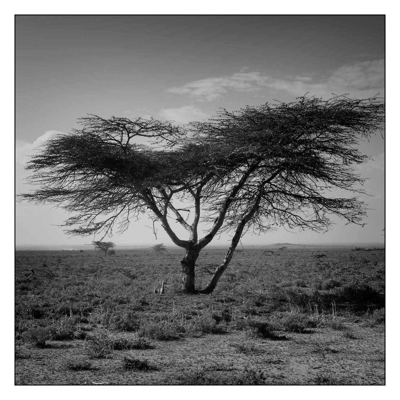 nuances-de-noirs-et-de-blancs/013-les-temoins-du-temps-qui-passe/en/14-170910SHOPAY0089B
