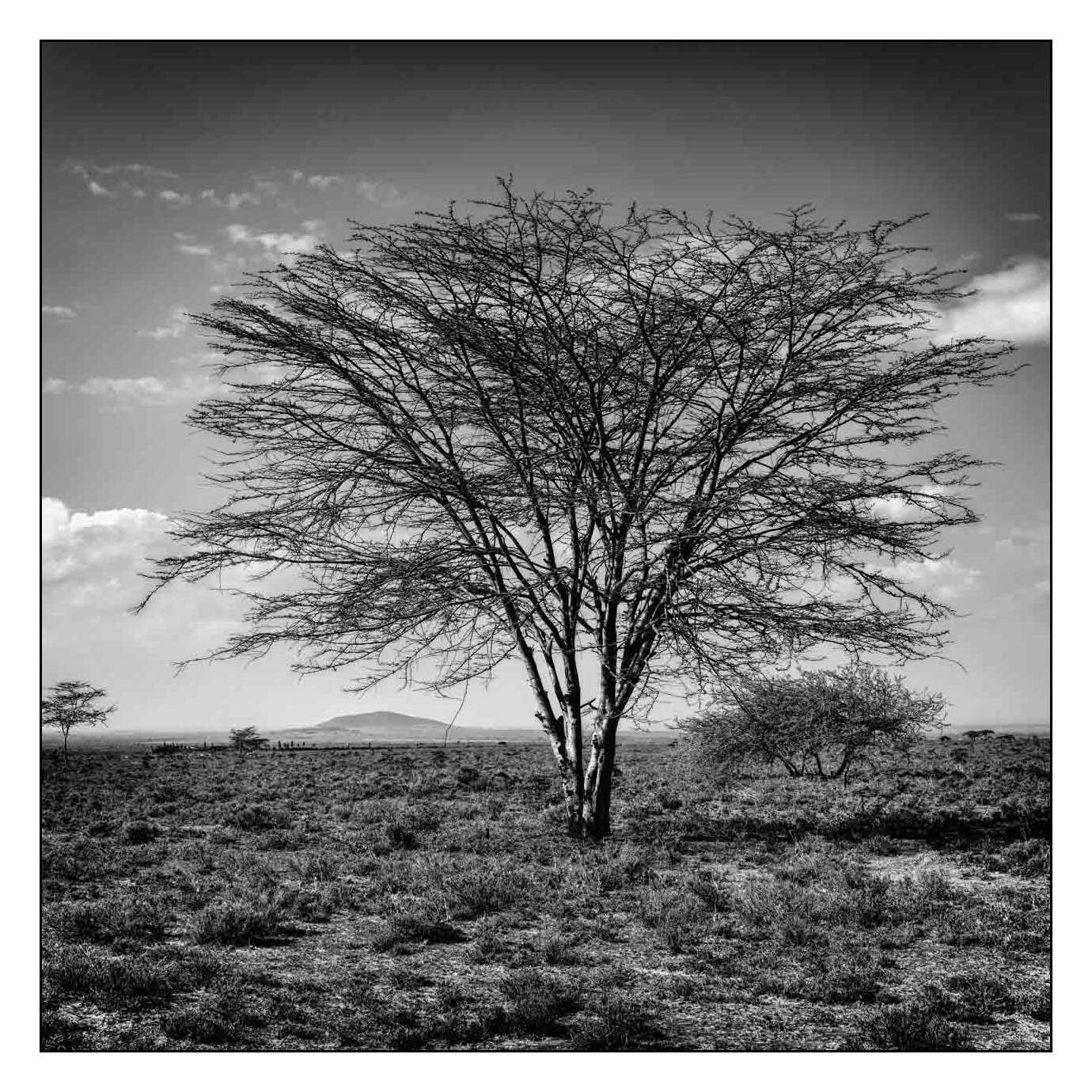 nuances-de-noirs-et-de-blancs/013-les-temoins-du-temps-qui-passe/fr/13-170910SHOPAY0077B
