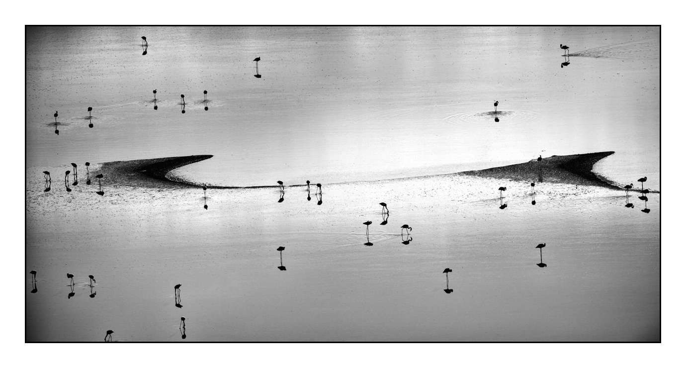 nuances-de-noirs-et-de-blancs/015-notes-de-musique-sur-l-eau/fr/02-170910MAGANI0456B